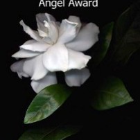2 Angel Award / Árbol en tierras salvajes (07.05.14) - Pablo Tassani (08.05.14)